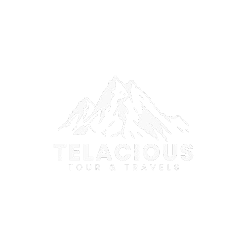 Telacious Tour and Travels